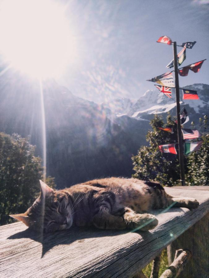 Mountain Hostel Гиммельвальд Экстерьер фото